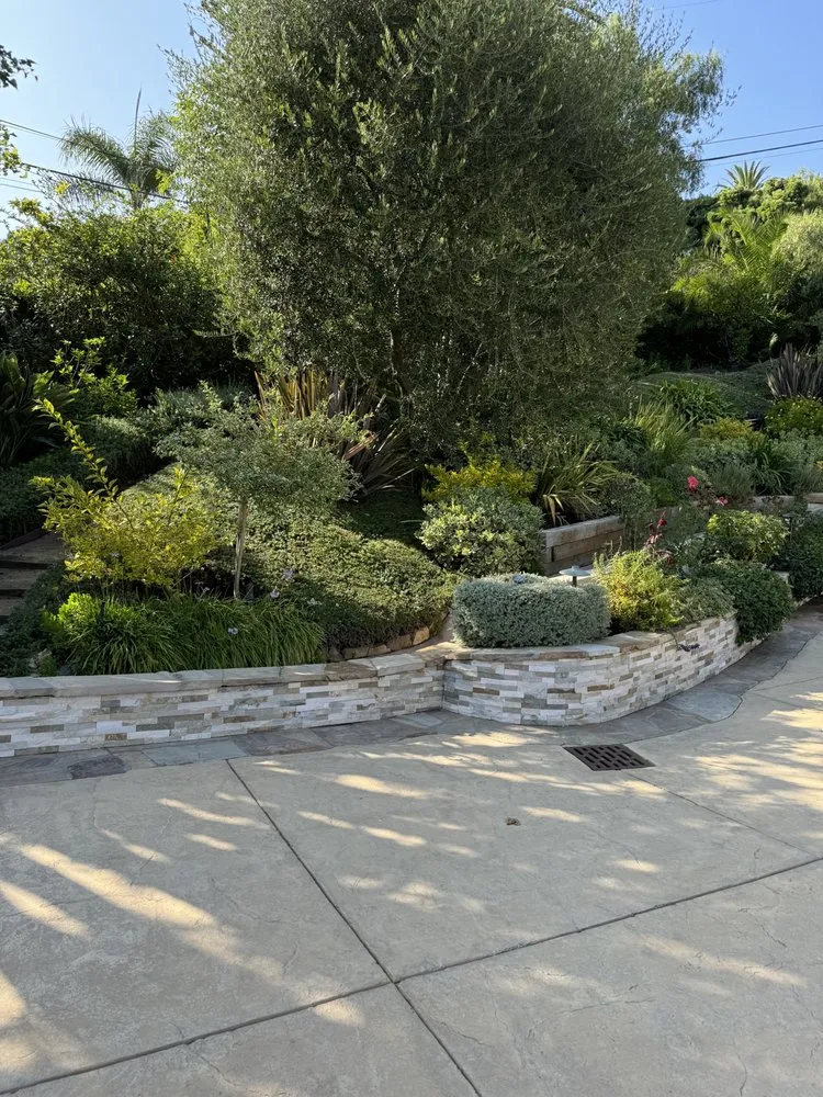 Expert landscape design in Culver City, CA - Alphascape Landscaping Services
