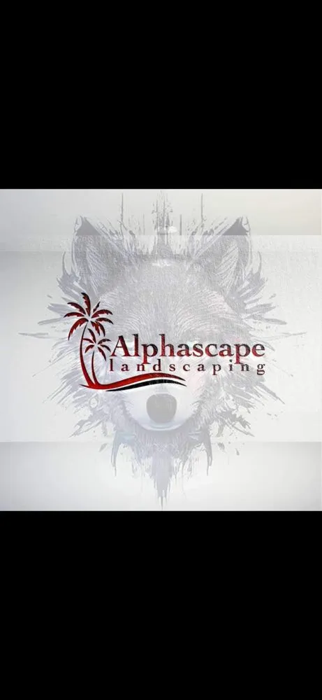 Custom yard maintenance for homes in Culver City, CA by Alphascape Landscaping Services