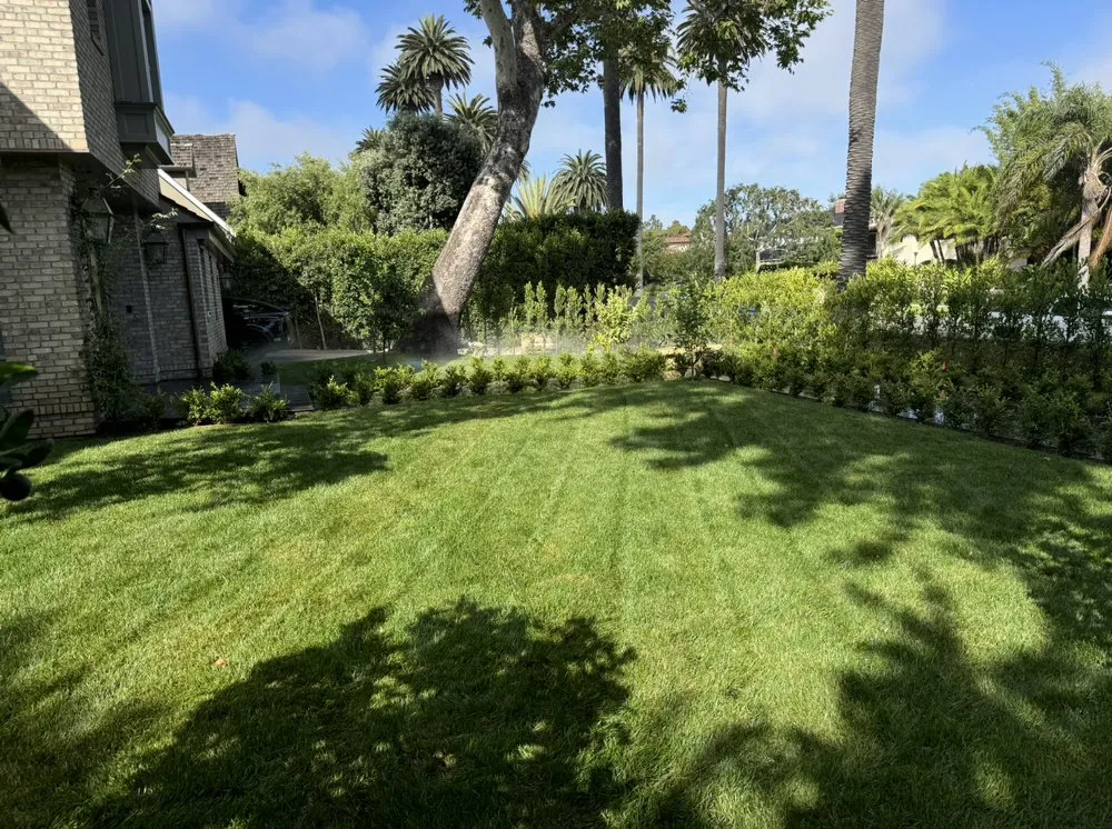 Top-rated yard maintenance in Culver City, CA - Alphascape Landscaping Services