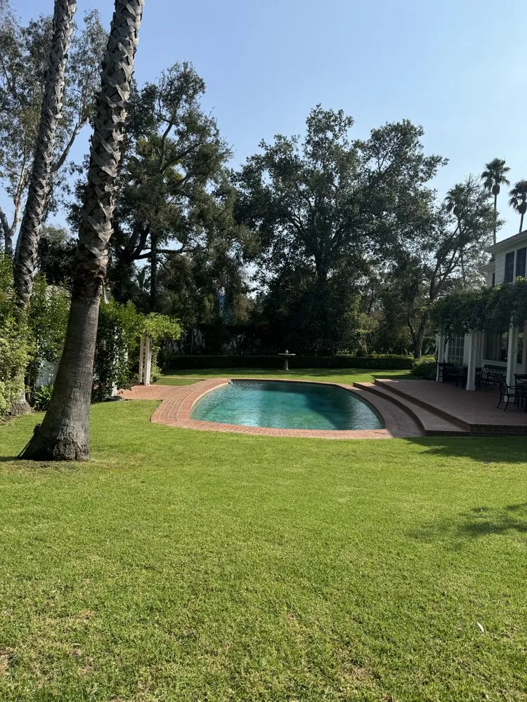 Top-rated yard cleanup service experts serving Culver City, CA - Alphascape Landscaping Services