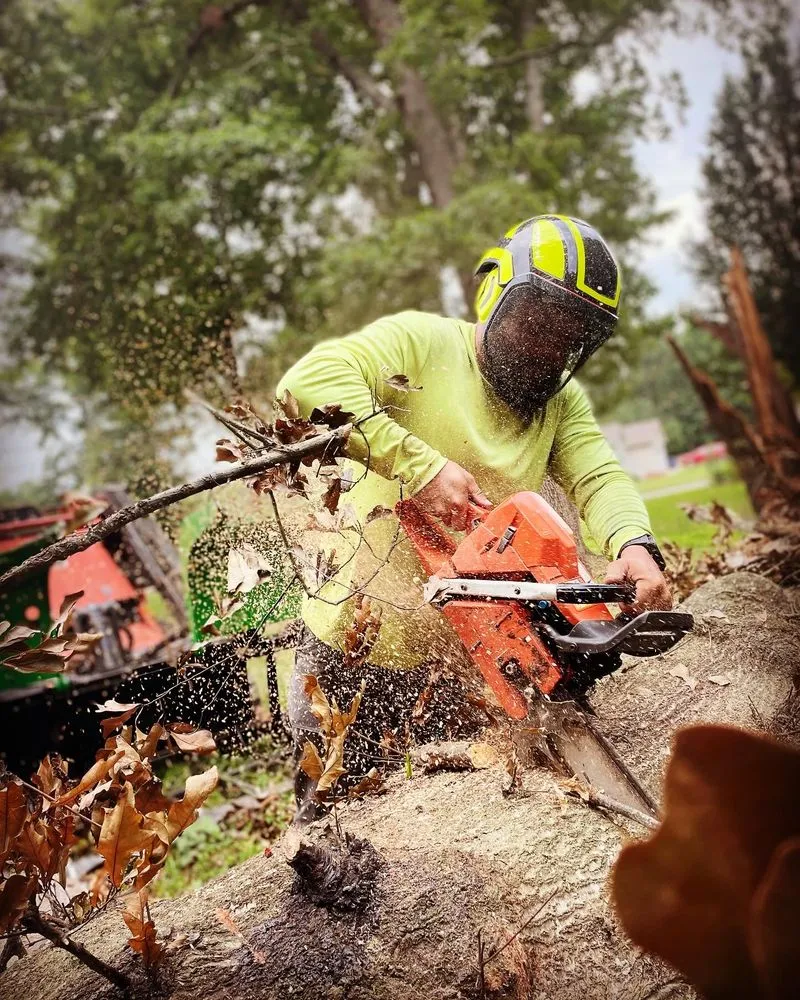 Trusted residential landscaping for residential properties across Anniston, AL - Alphascape Lawn and Landscape