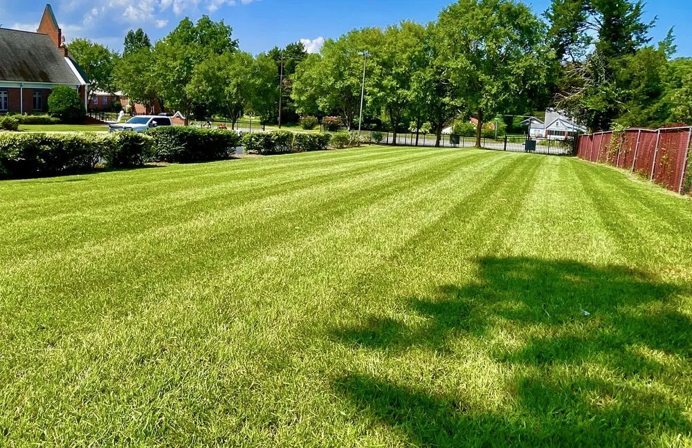 Local yard cleanup service in Anniston, AL - Alphascape Lawn and Landscape