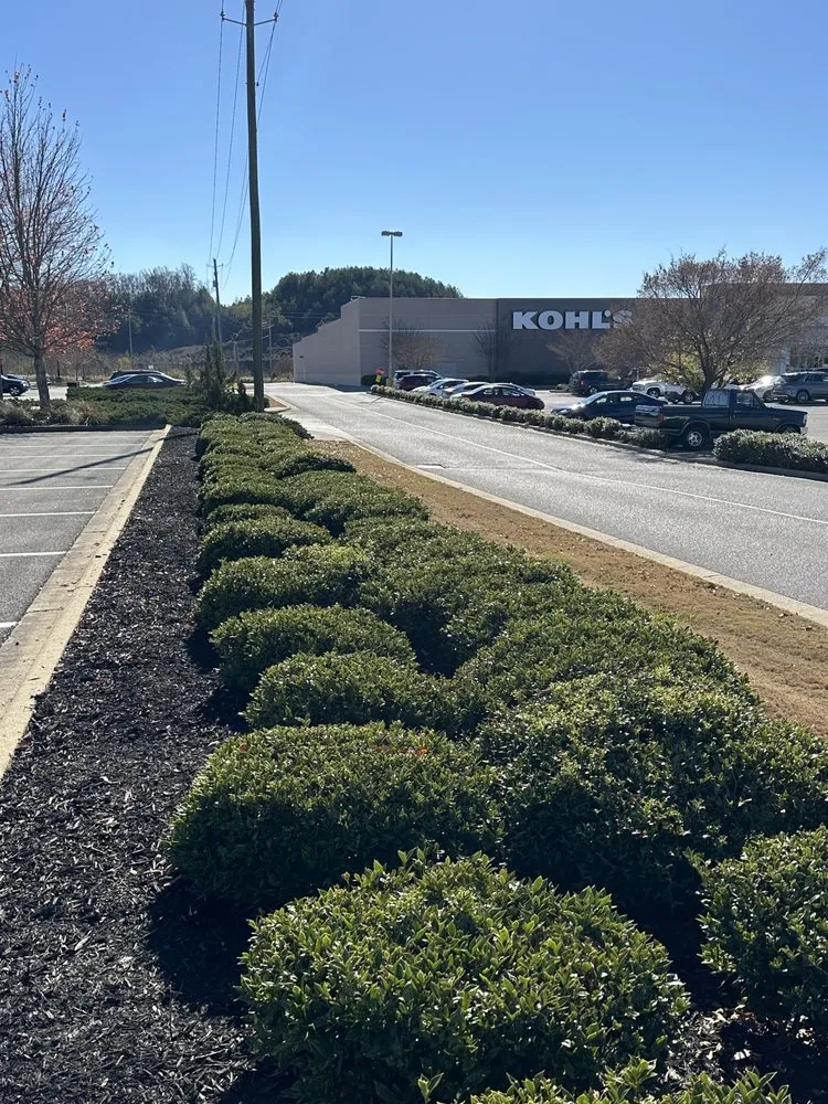 Reliable landscape design in Anniston, AL - Alphascape Lawn and Landscape