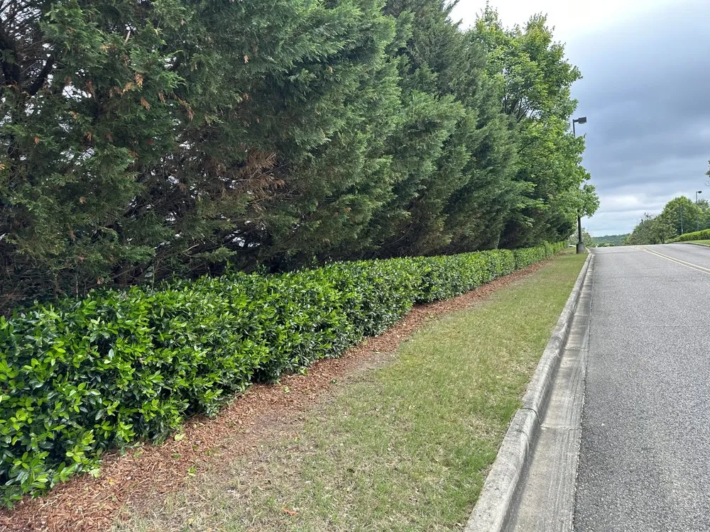 Trusted landscape design in Anniston, AL by Alphascape Lawn and Landscape