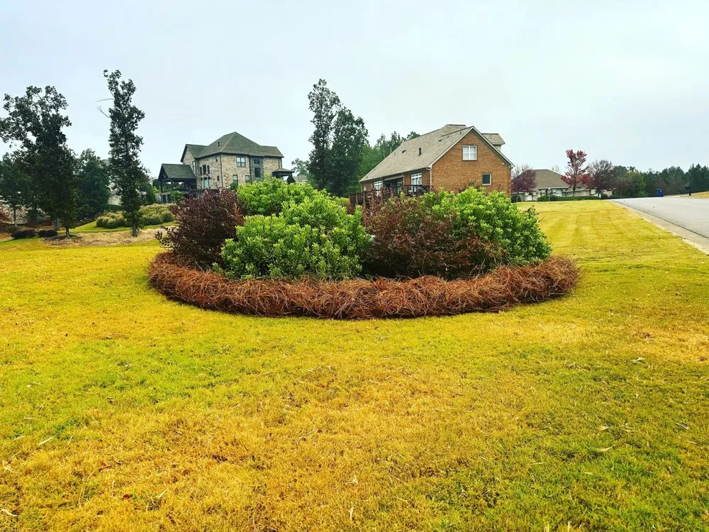 Reliable yard maintenance for residential properties across Anniston, AL - Alphascape Lawn and Landscape