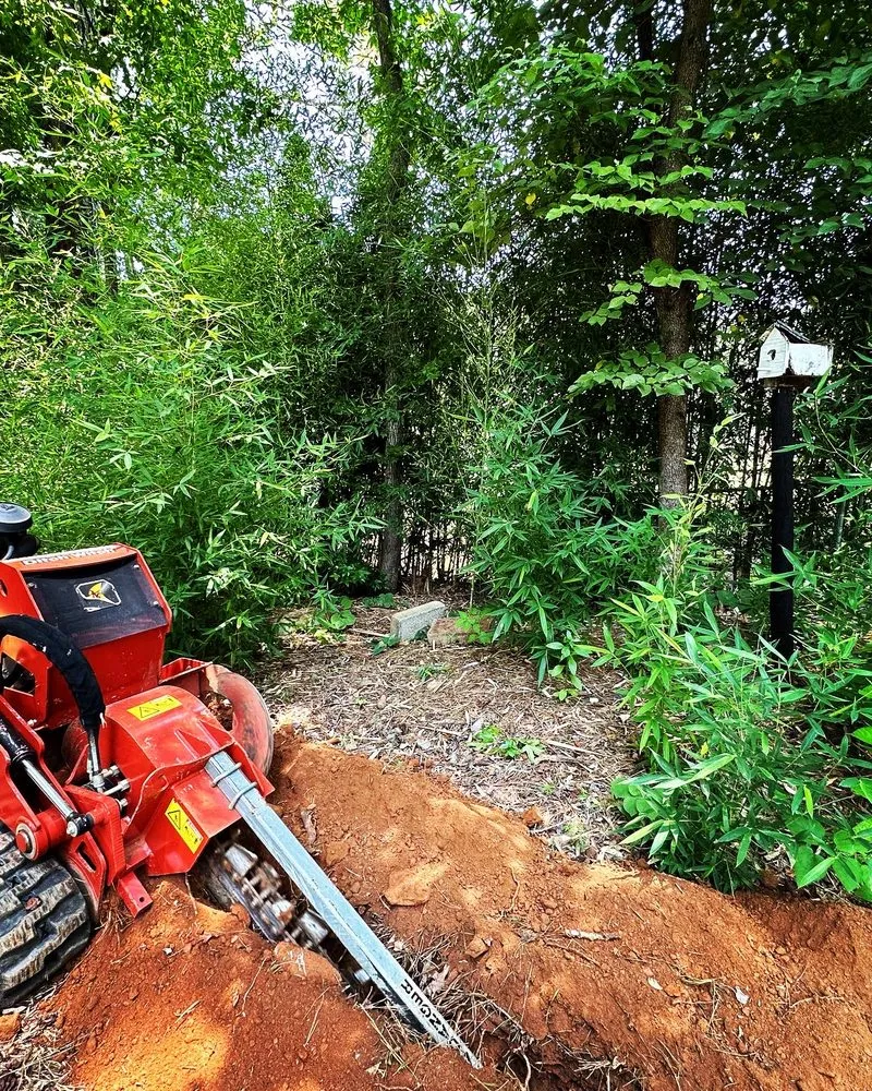 Trusted landscape installation with custom design across Anniston, AL - Alphascape Lawn and Landscape