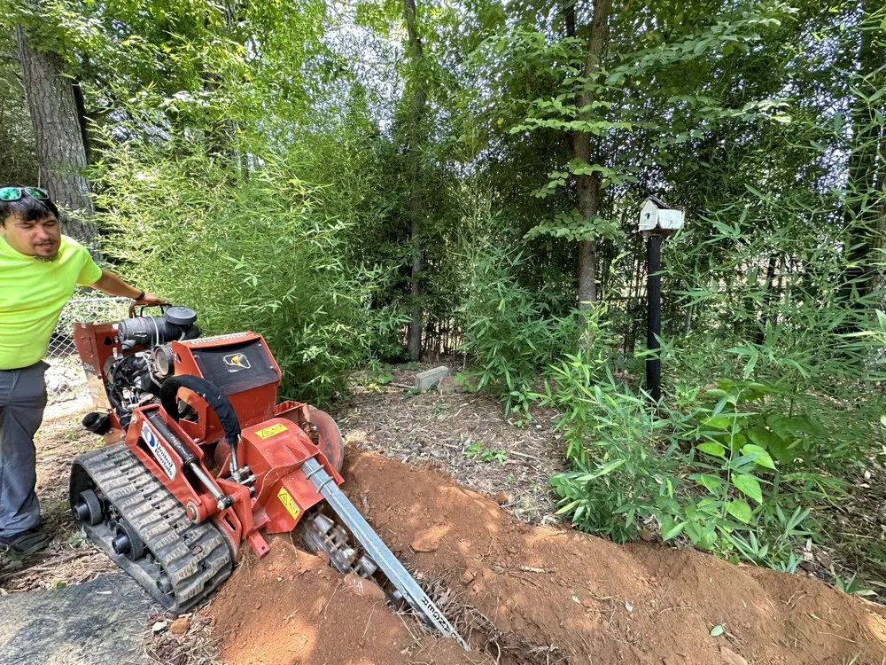 Professional lawn care service in Anniston, AL - Alphascape Lawn and Landscape