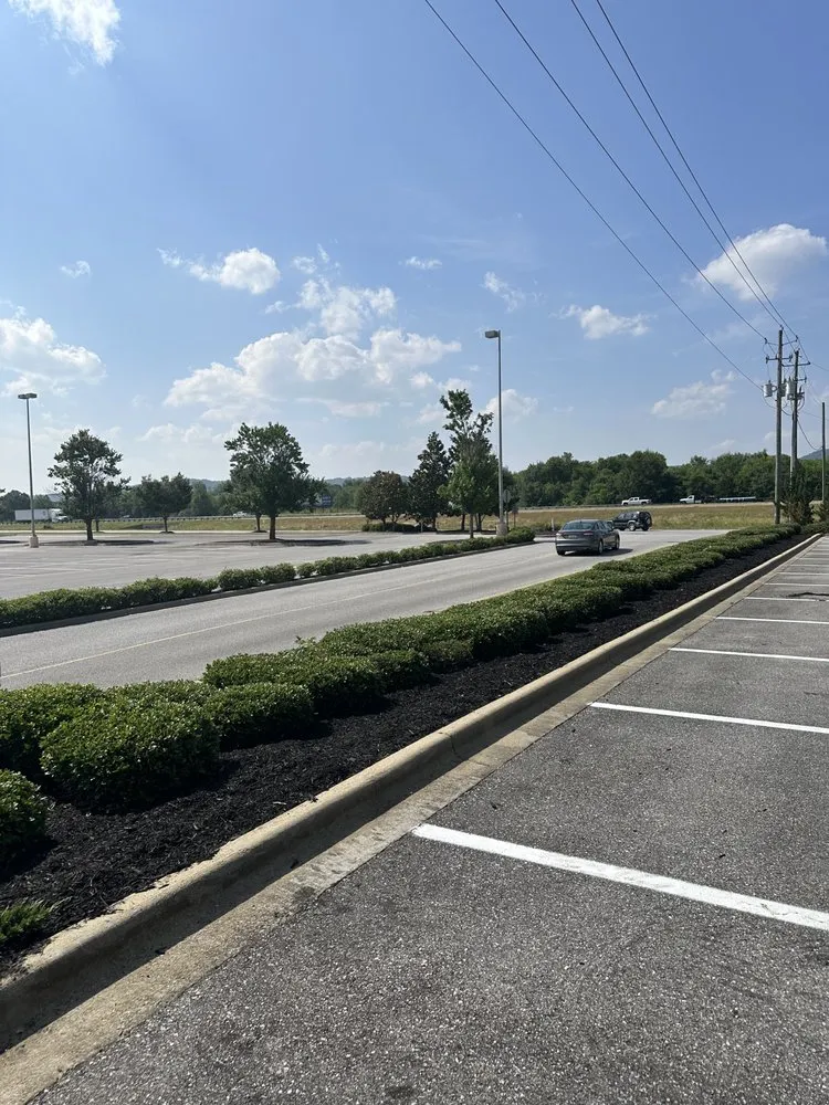 Reliable outdoor landscaping in Anniston, AL by Alphascape Lawn and Landscape