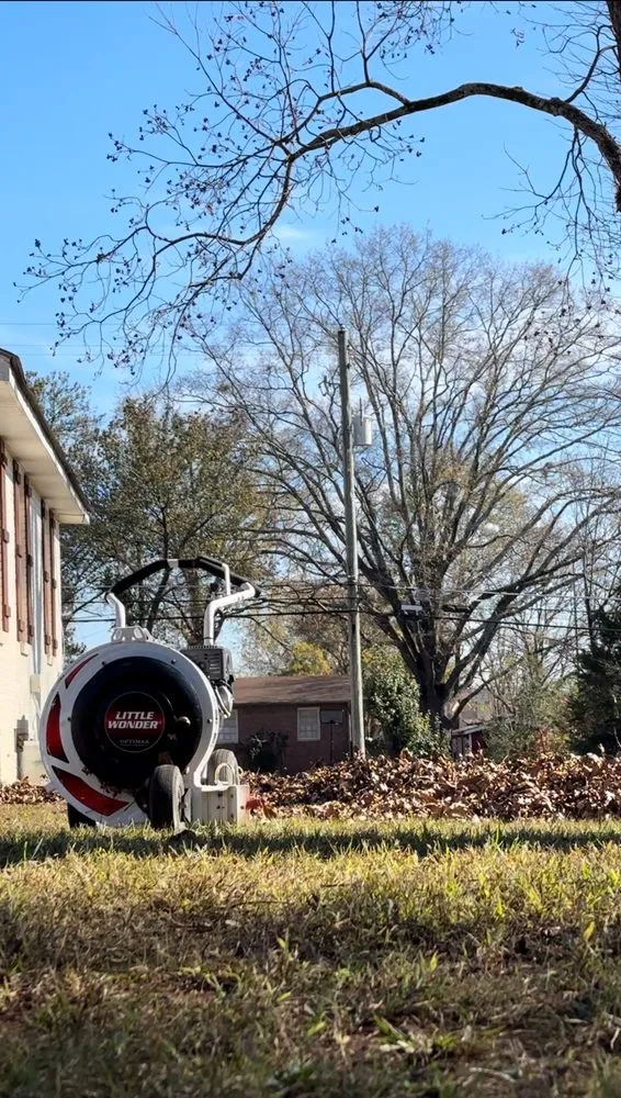 Local lawn care service for beautiful yards across Anniston, AL - Alphascape Lawn and Landscape