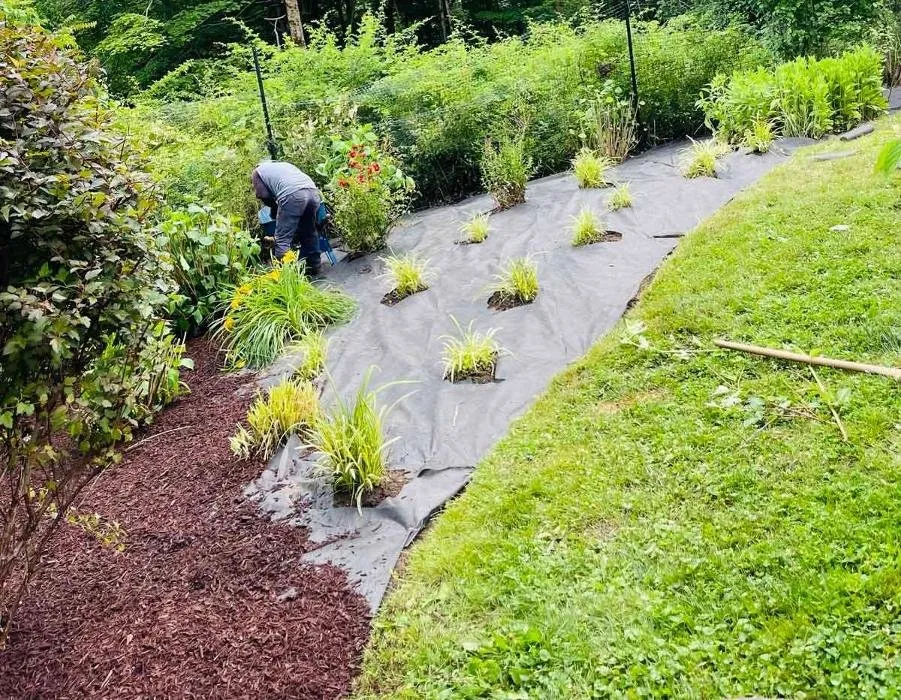 Expert lawn mowing service in Yorktown Heights, NY by AlphaScape Solutions