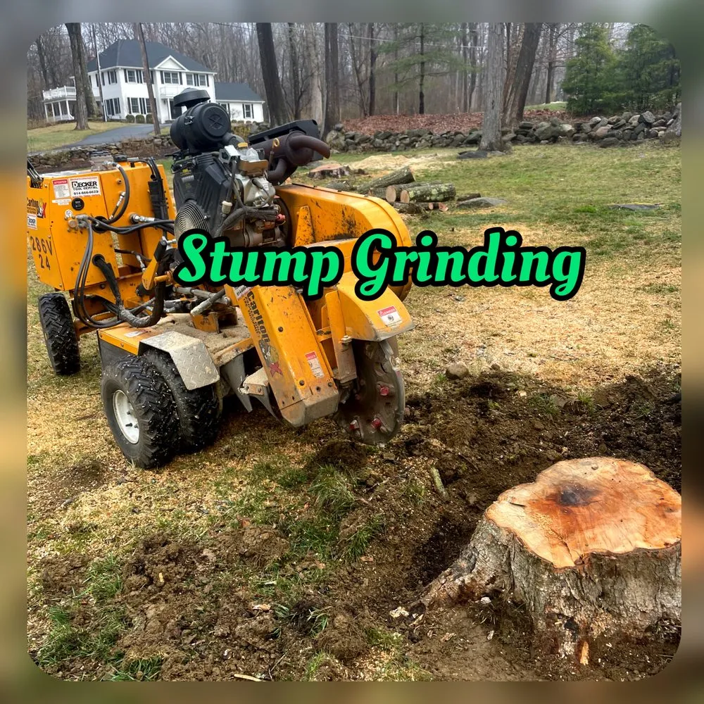 Affordable landscape design in Yorktown Heights, NY by AlphaScape Solutions