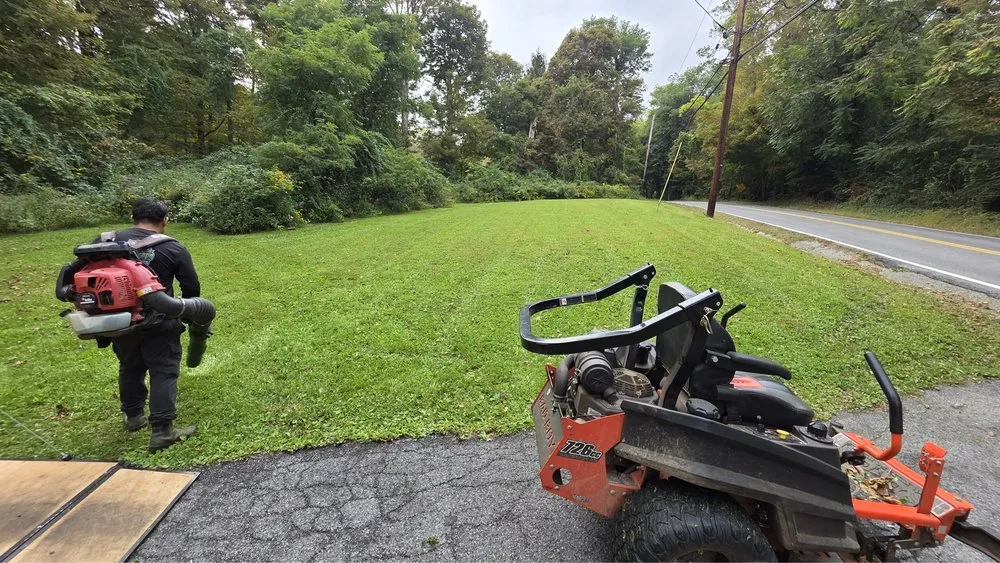 Expert yard cleanup service experts serving Yorktown Heights, NY - AlphaScape Solutions