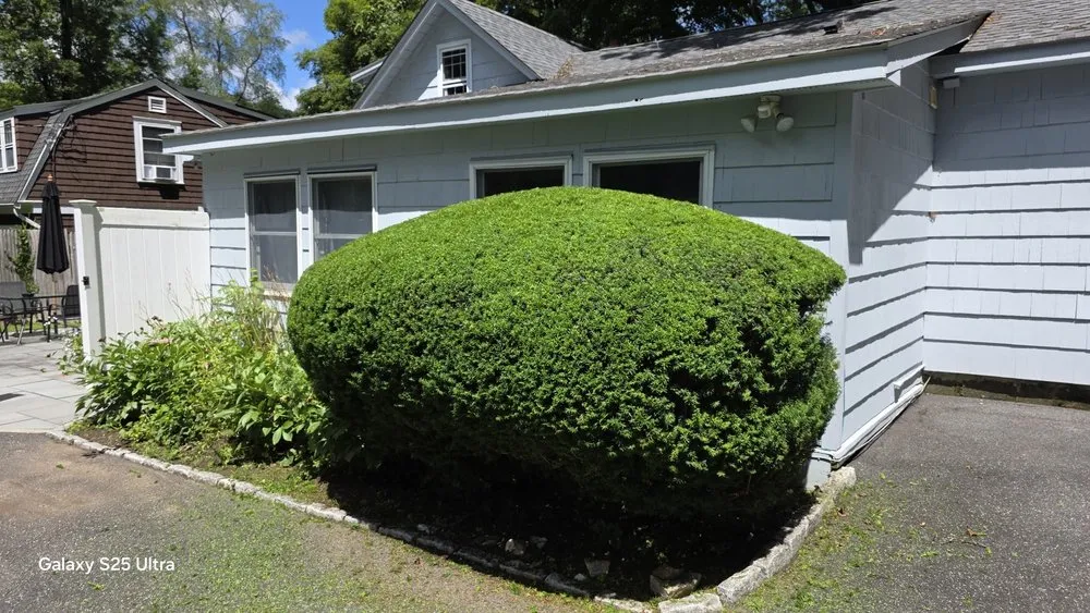 Affordable yard maintenance for residential properties in Yorktown Heights, NY by AlphaScape Solutions