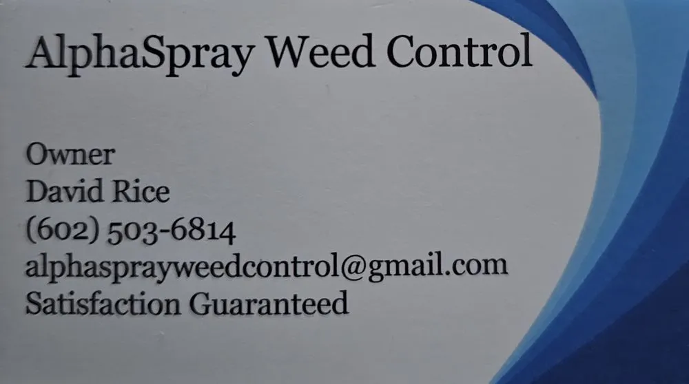 Professional landscape design for year-round maintenance in Queen Creek, AZ by Alphaspray