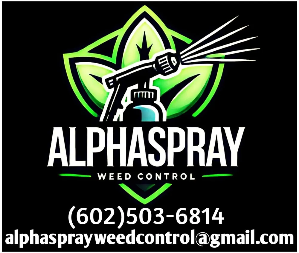 Local residential landscaping for beautiful yards across Queen Creek, AZ - Alphaspray