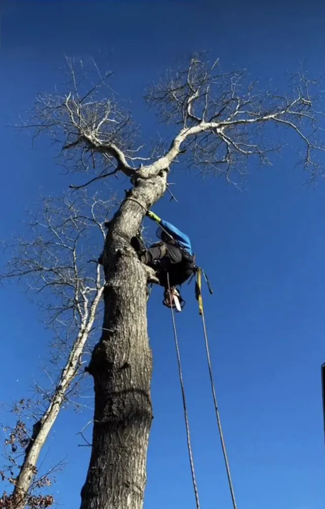 Custom yard maintenance in West Yarmouth, MA - AlphaStone & Landscaping
