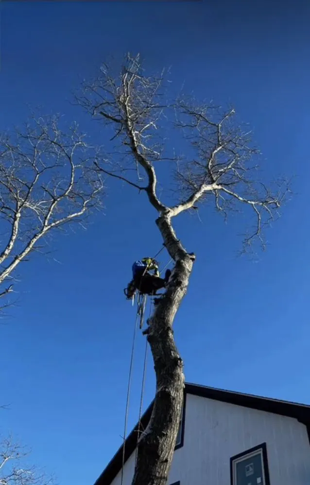 Local yard maintenance for beautiful yards in West Yarmouth, MA by AlphaStone & Landscaping