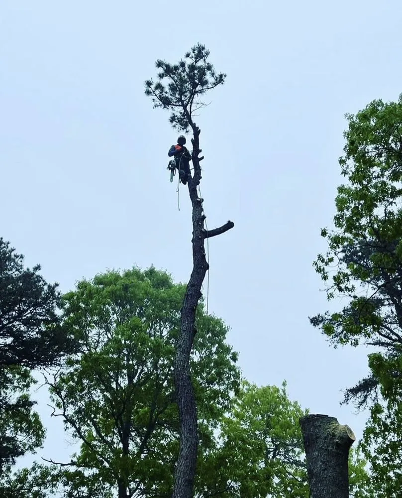 Reliable landscape installation near you across West Yarmouth, MA - AlphaStone & Landscaping