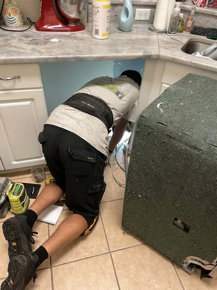 Affordable yard maintenance near you in Gainesville, FL by Alpine Alltrades