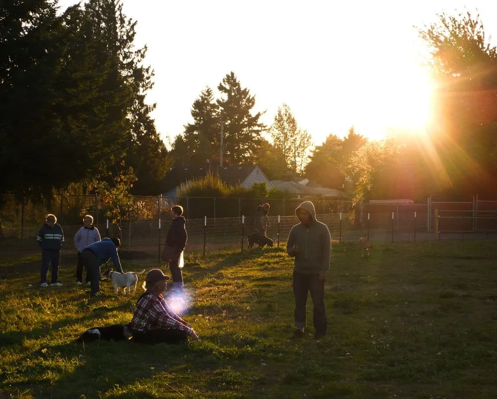 Local yard cleanup service for residential properties across Pleasant Grove, UT - Alpine Curbing