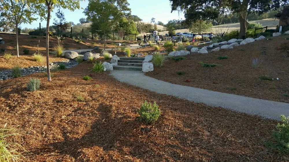 Affordable yard cleanup service experts serving Penn Valley, CA - Alpine Custom Landscapes
