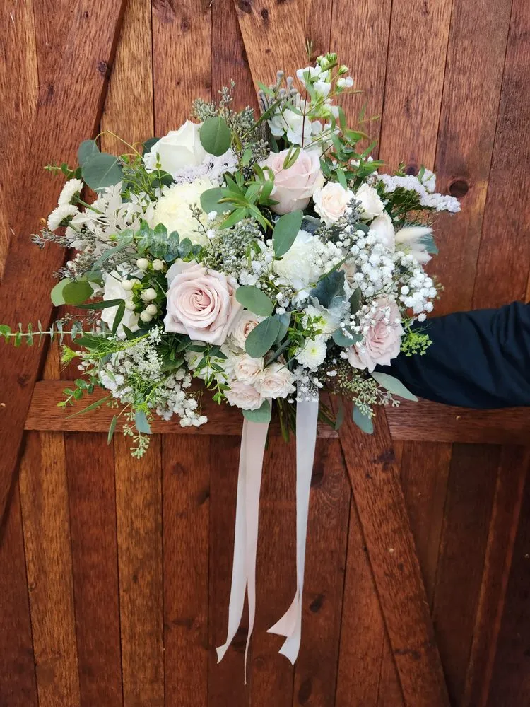 Trusted lawn care service experts serving Polson, MT - Alpine Designs