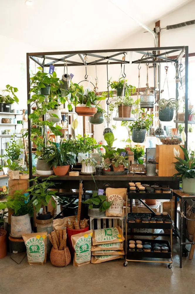 Affordable outdoor landscaping in Polson, MT - Alpine Designs