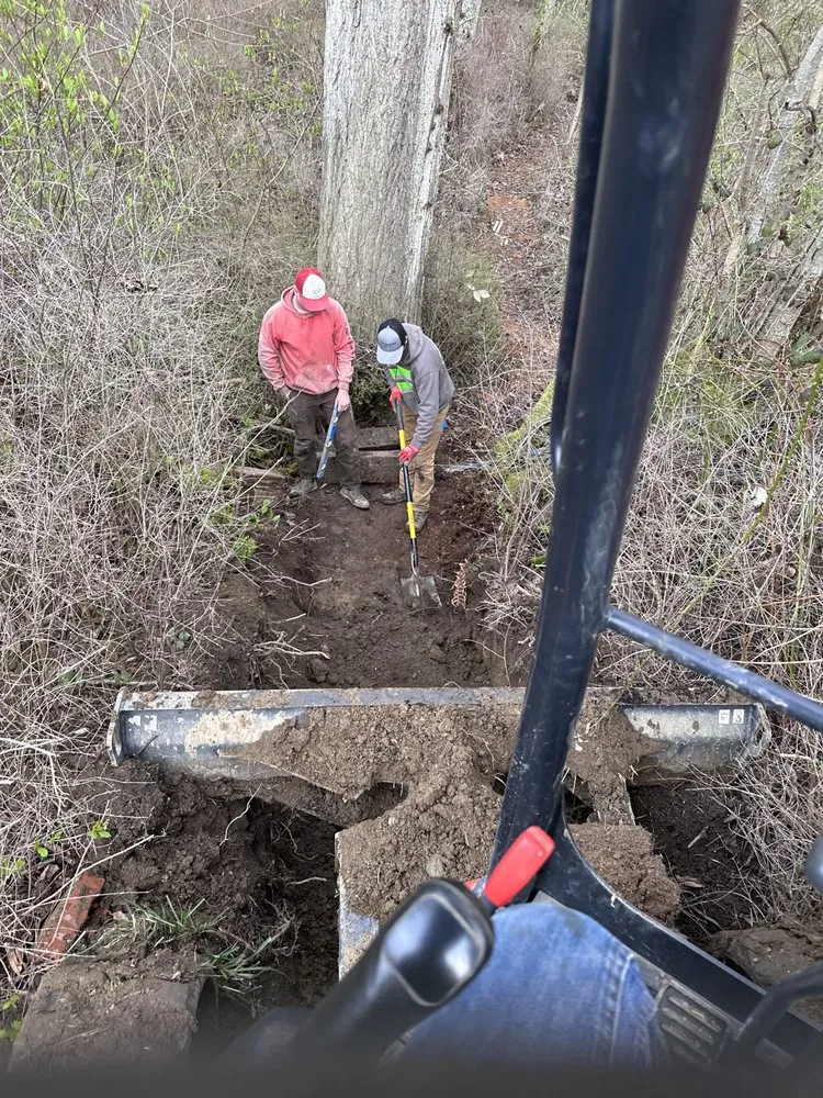 Local yard maintenance for residential properties in Sequim, WA by Alpine Earthworks