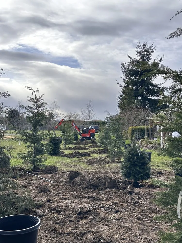 Top-rated outdoor landscaping in Sequim, WA - Alpine Earthworks