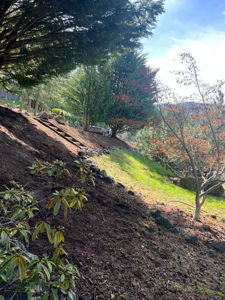 Local lawn mowing service for residential properties in Sequim, WA by Alpine Earthworks