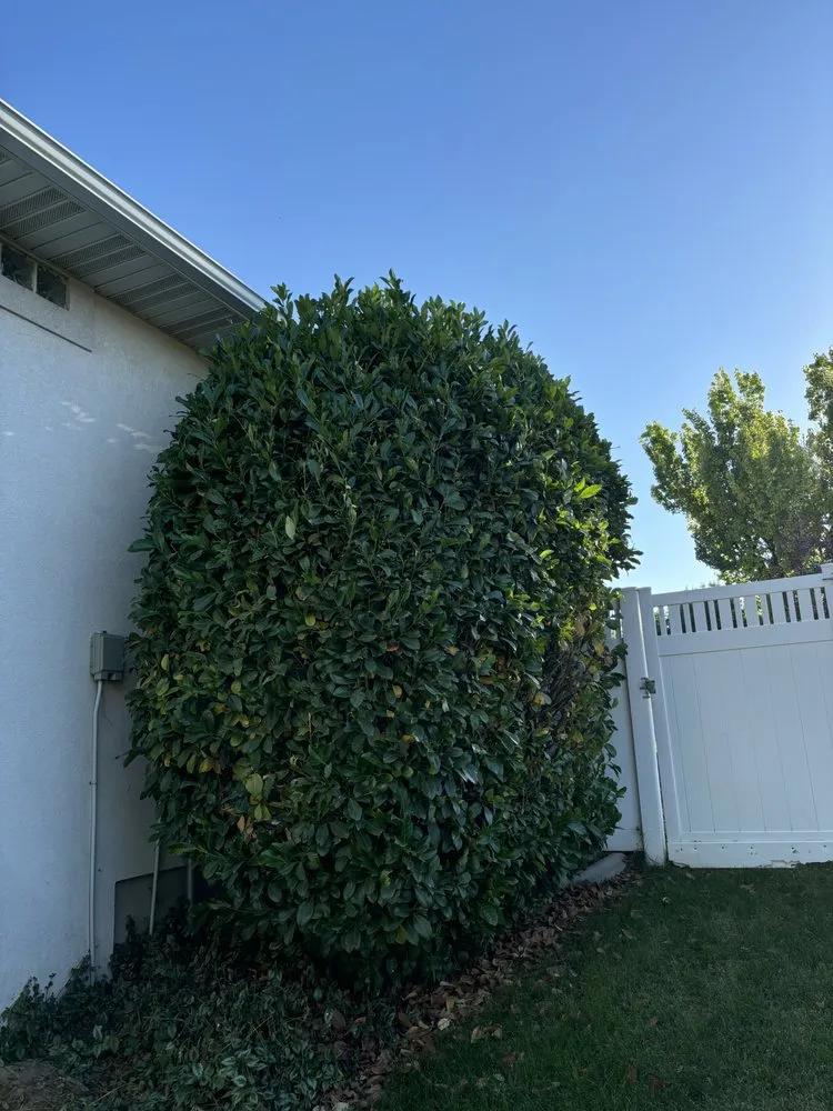 Affordable outdoor landscaping in Herriman, UT - Alpine Elite Lawn Services