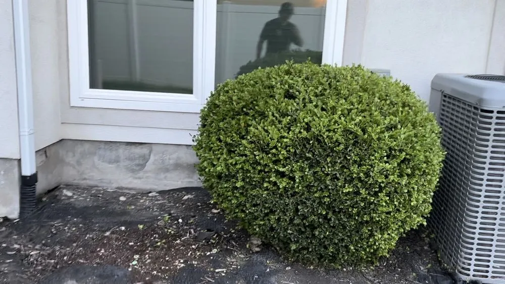 Professional landscape design experts serving Herriman, UT - Alpine Elite Lawn Services