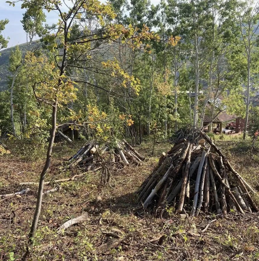Local outdoor landscaping experts serving Park City, UT - Alpine Forestry