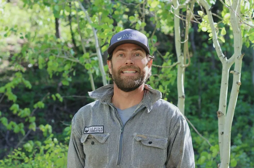 Trusted outdoor landscaping for outdoor upgrades across Park City, UT - Alpine Forestry