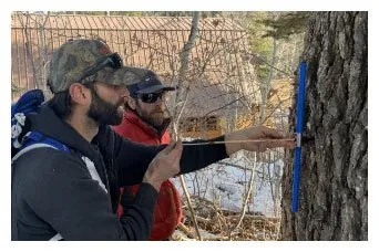 Local landscape installation in Park City, UT - Alpine Forestry