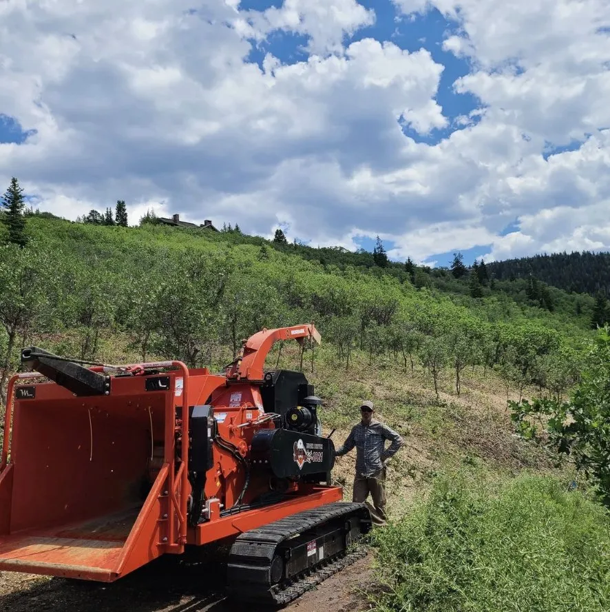 Custom residential landscaping in Park City, UT by Alpine Forestry