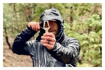 Alpine Forestry Logo