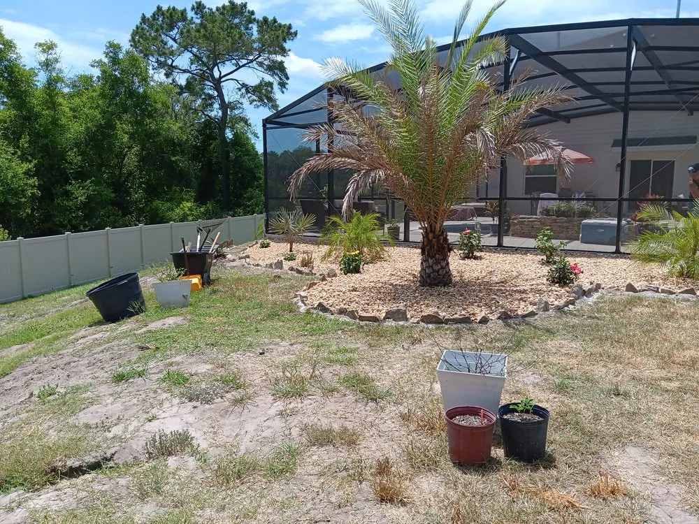 Trusted landscaping services for beautiful yards in Ormond Beach, FL by Alpine Landscape Services