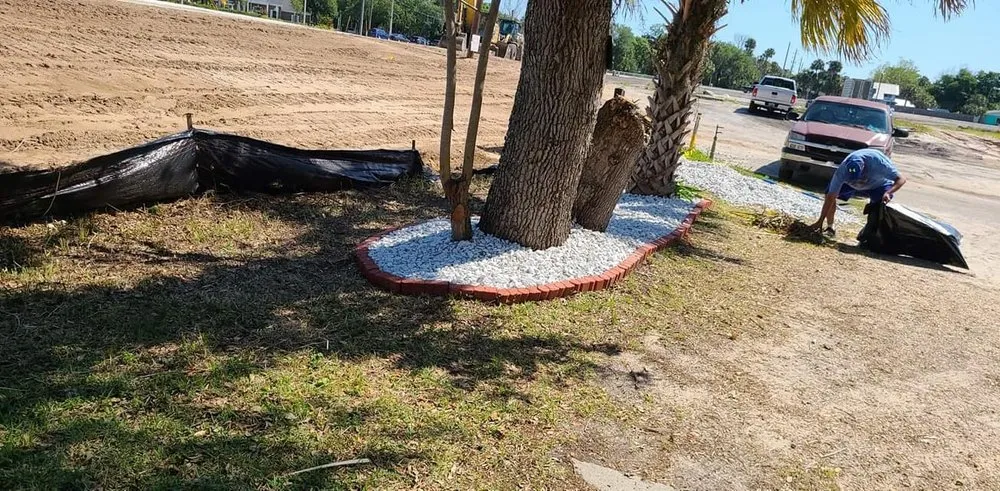 Top-rated lawn mowing service with custom design in Ormond Beach, FL by Alpine Landscape Services