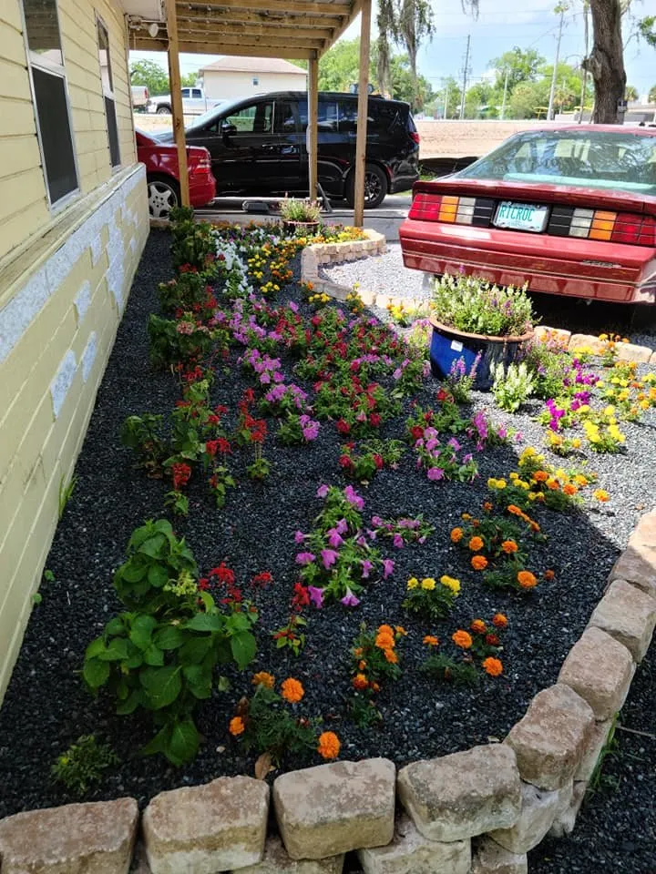 Reliable yard maintenance for homes across Ormond Beach, FL - Alpine Landscape Services