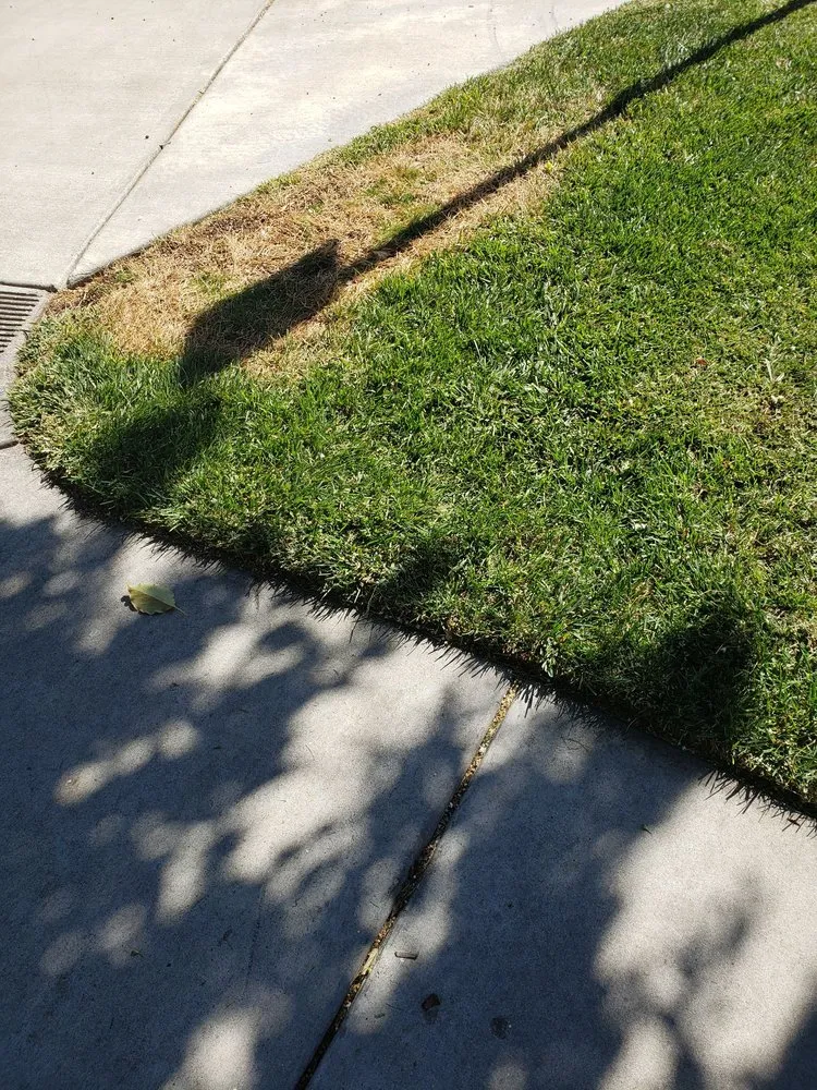 Reliable landscape design for outdoor upgrades in Gilroy, CA by Alpine Landscapes