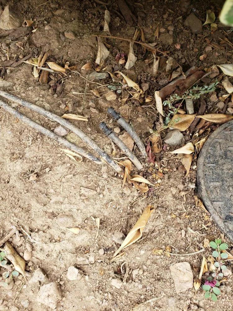 Local garden landscaping for residential properties in Gilroy, CA by Alpine Landscapes