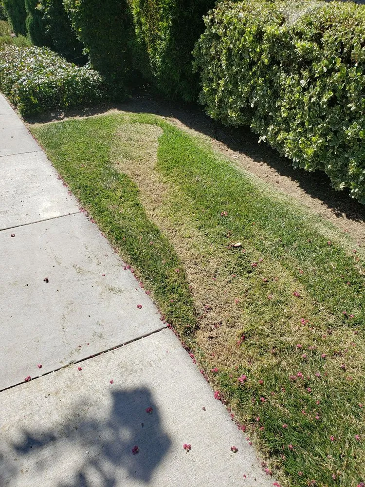 Affordable landscape installation experts serving Gilroy, CA - Alpine Landscapes