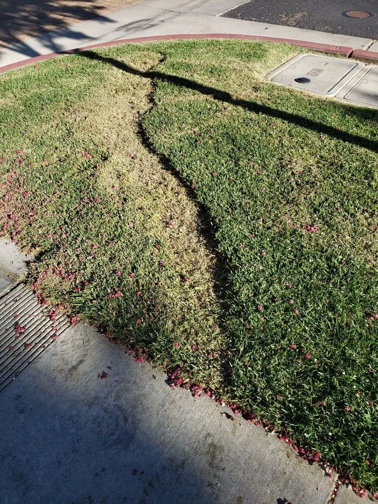 Affordable outdoor landscaping in Gilroy, CA by Alpine Landscapes