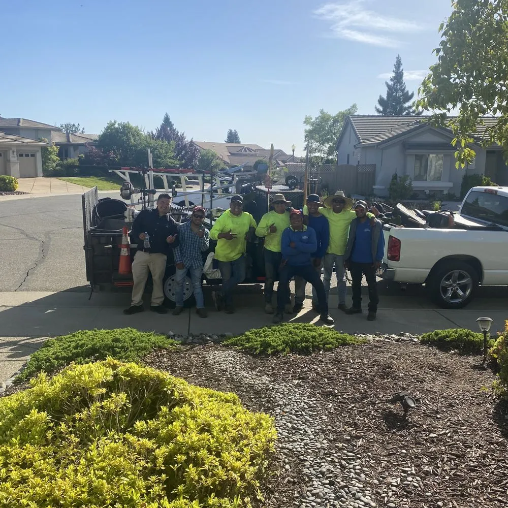 Professional lawn care service experts serving Lincoln Hills, CA - Alpine Landscaping