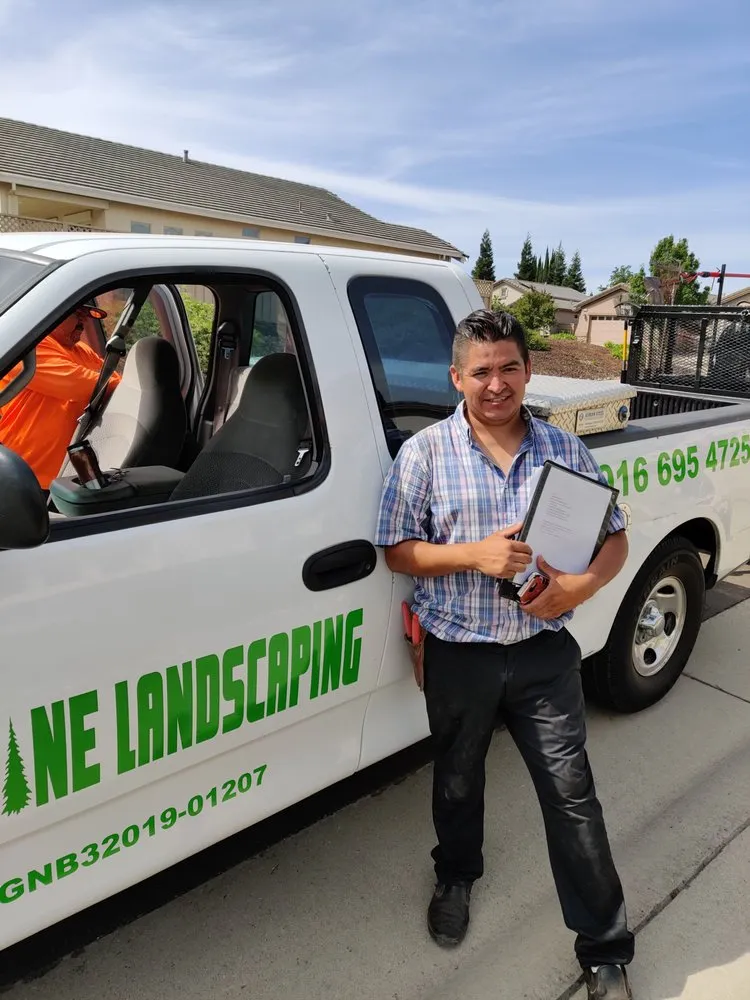 Local lawn care service experts serving Lincoln Hills, CA - Alpine Landscaping