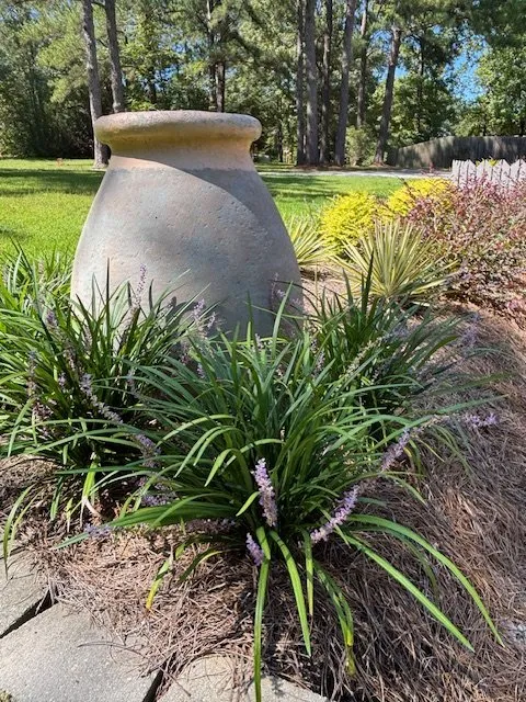 Custom yard cleanup service with custom design in Dry Prong, LA by Alpine Lawn & Landscape