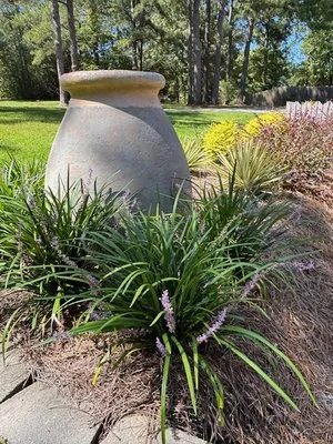 Alpine Lawn & Landscape