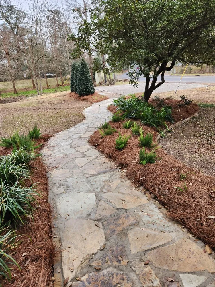 Professional residential landscaping for year-round maintenance across Dry Prong, LA - Alpine Lawn and Landscape