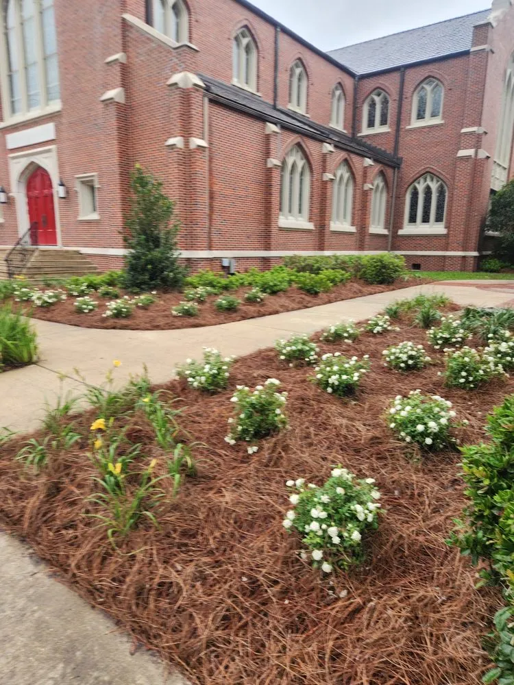 Affordable lawn mowing service in Dry Prong, LA by Alpine Lawn and Landscape